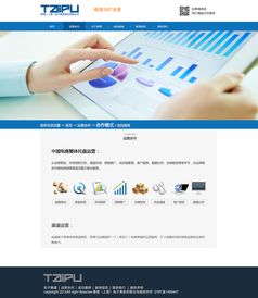 電子商務(wù)企業(yè)網(wǎng)站改版 提升用戶體驗(yàn)與轉(zhuǎn)化率的關(guān)鍵實(shí)踐